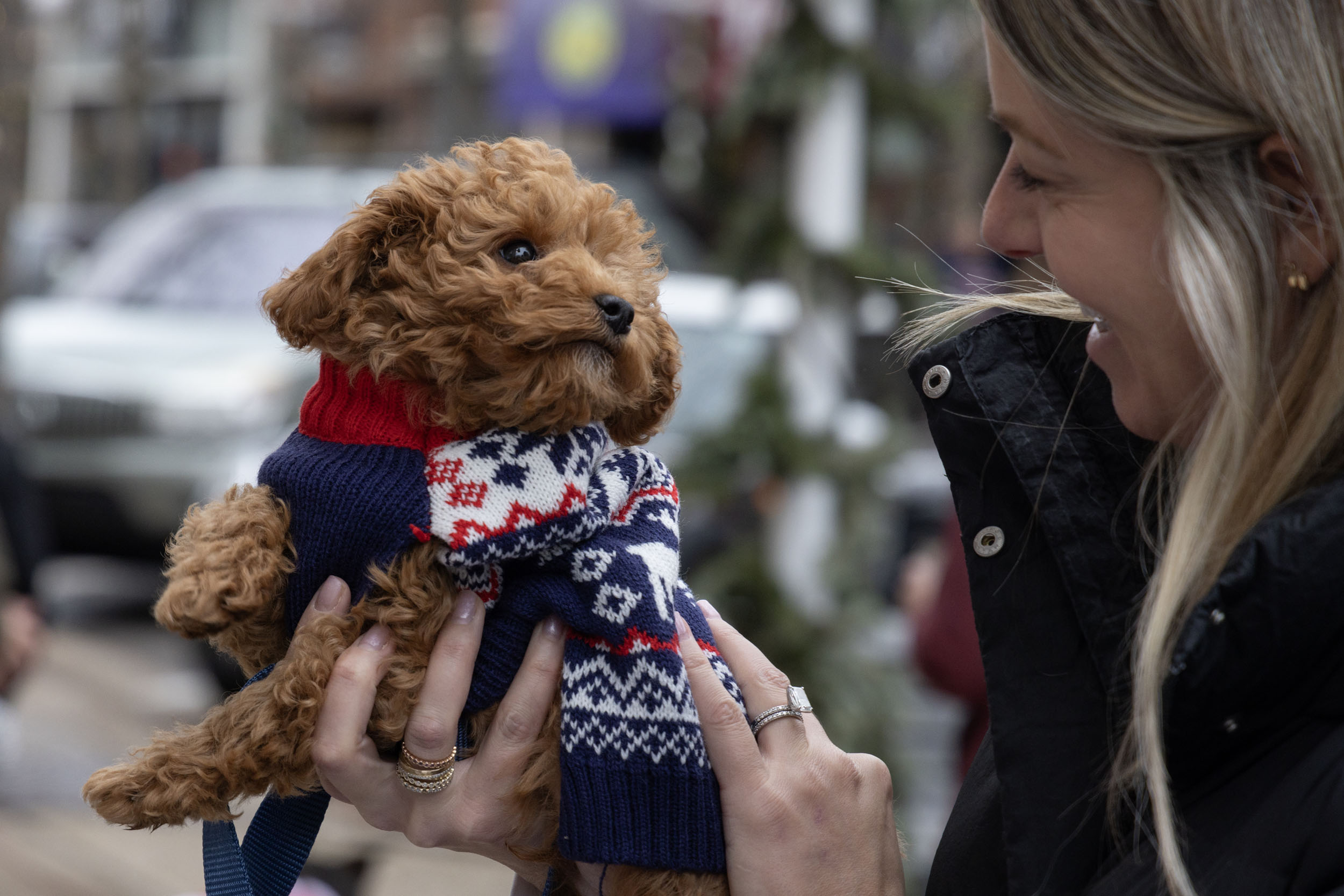 Reindog Parade 01